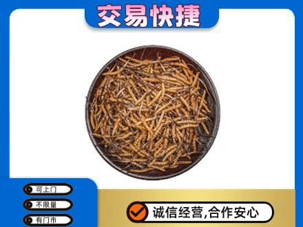 台湾嘉义市礼品回收虫草.jpg