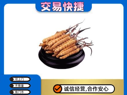 台湾嘉义市礼品回收散虫草.jpg